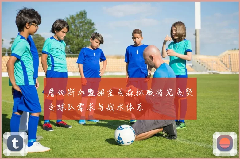 詹姆斯加盟掘金或森林狼将完美契合球队需求与战术体系