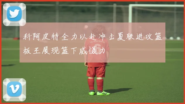科阿皮特全力以赴冲击夏联进攻篮板王展现篮下威慑力