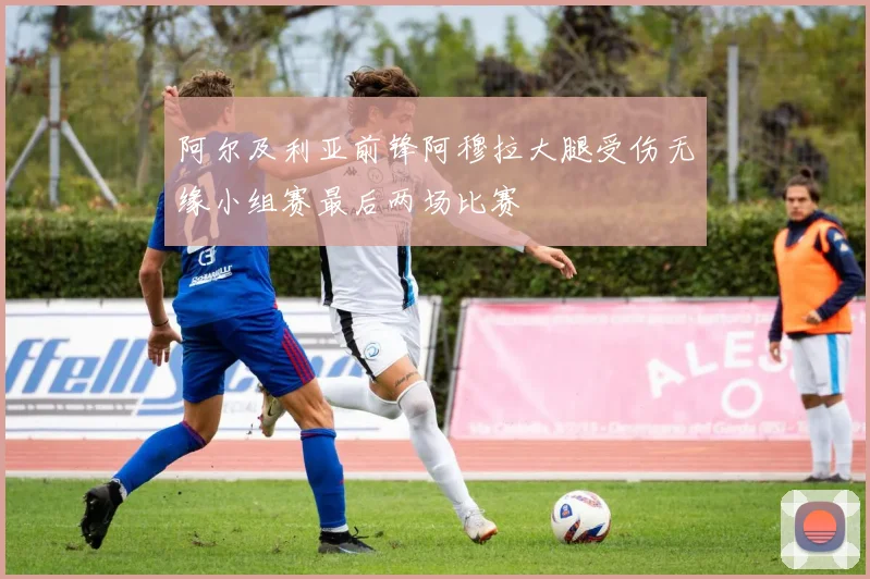 阿尔及利亚前锋阿穆拉大腿受伤无缘小组赛最后两场比赛